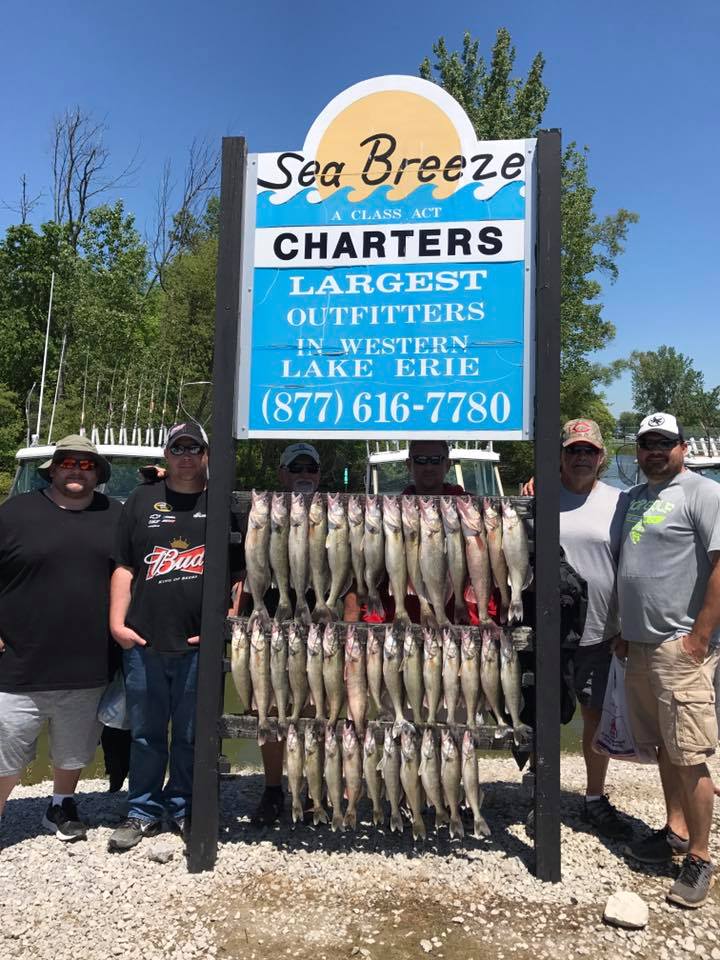 April/May Fishing Sea Breeze Charters